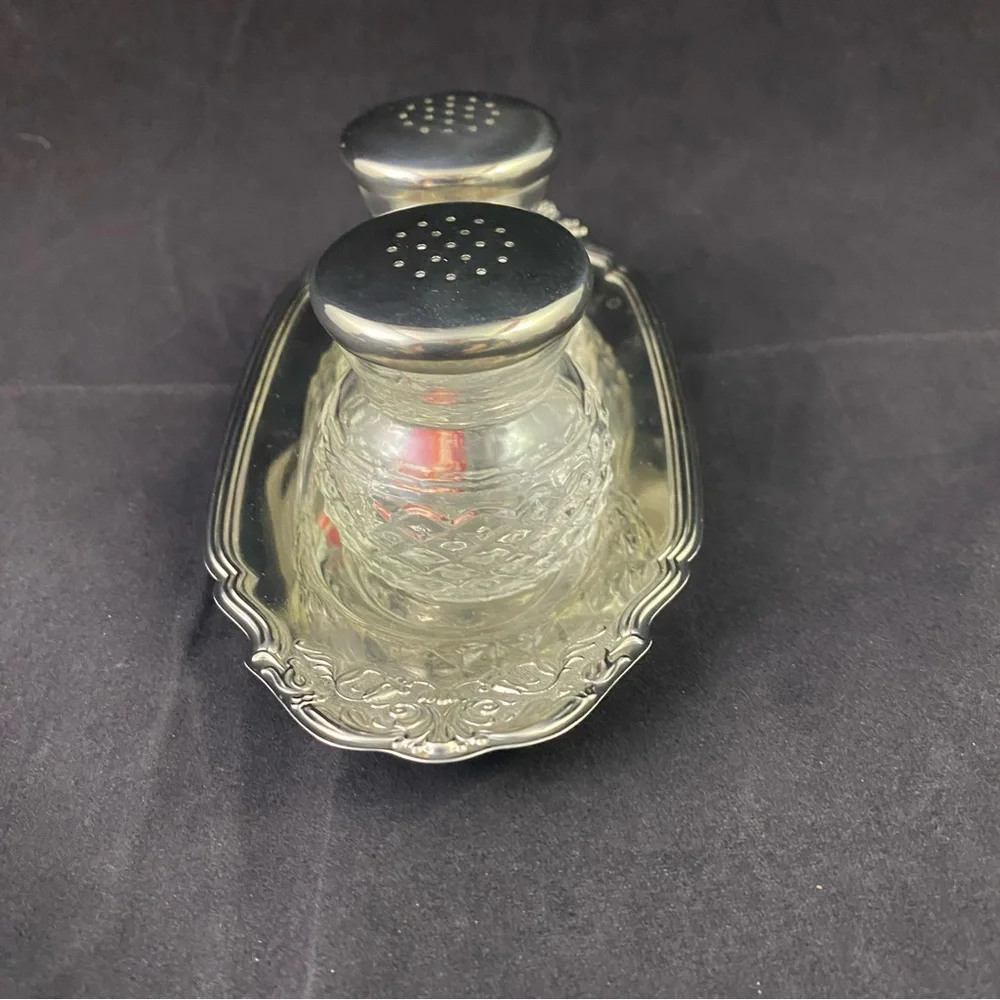 Elegant Silver Salt and Pepper Shaker Set